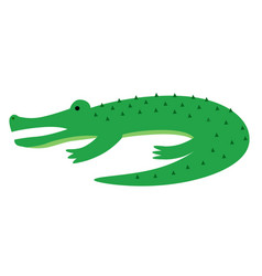 An Alligator In A Flat