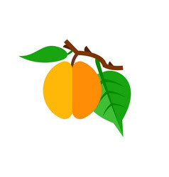 Apricot Branch With Leaves Icon