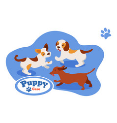 Pets Puppies Different Breeds Play Frisking Run