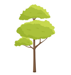 Green Tree Icon