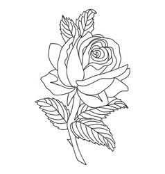 Rose June Birth Month Flower Line Art