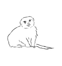 Meerkat Icon Animal Sign Animal Sketch