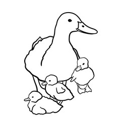 Mother Duck With Three Newborn Ducklings