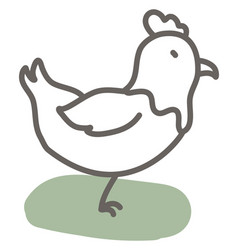 Farm Chicken On A White Background