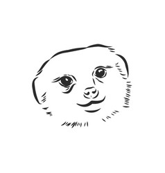 Meerkat Icon Animal Sign Animal Sketch