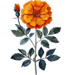 A Style Digital Art Print Of A Marigold