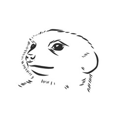 Meerkat Icon Animal Sign Animal Sketch