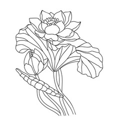 Lotus Water Lily July Birth Month Flower Line Art