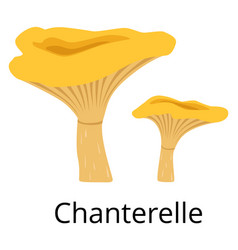 Chanterelle Icon Cartoon Mushroom Autumn Nature