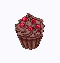 Chocolate Cupcake With Cream Ganache And Berry