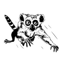 Black And White Linear Paint Draw Lemur