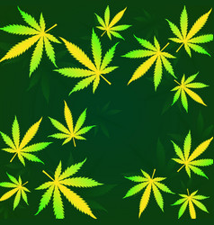 Cannabis Leaves On Green Background