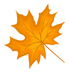 Maple Fall Leaf