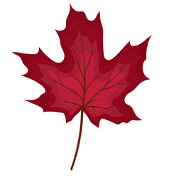 Maple Fall Leaf