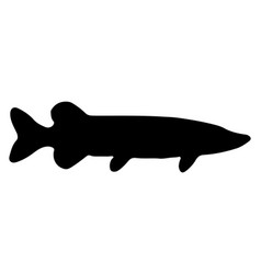 Nothern Pike Fish Silhouette Art