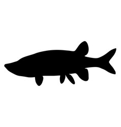 Nothern Pike Fish Silhouette Art