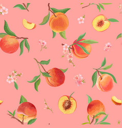 Peach seamless pattern Royalty Free Vector Image