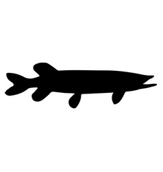 Nothern Pike Fish Silhouette Art