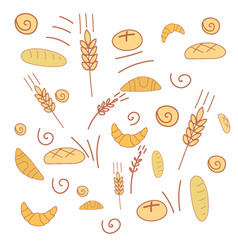 Bread Pattern Of Spikelets And Products