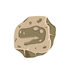 Ancient Dinosaur Head Fossil Clipart Extinct