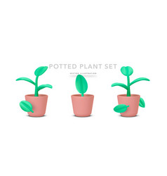 Set Of Realistic Potted Plant With Shadow