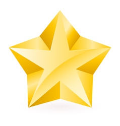 Shiny Gold Star Royalty Free Vector Image - VectorStock