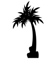 Tree Palm Silhouette