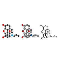 Naloxone Opioid Receptor Antagonist Drug Used