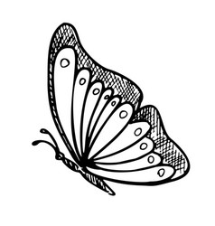 Monarch Butterfly Hand Drawn