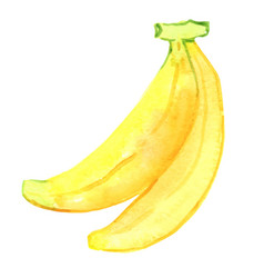 Banana Watercolor For Tropical Fruit