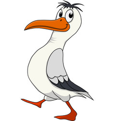 Cartoon Seagull Walking