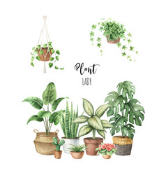 Watercolour Indoor Plants In Ceramic Pots