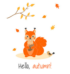 With Cute Squirrel Bird And Leaf Fall In Cartoon