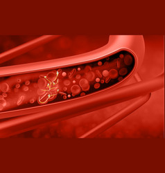 Red Blood Cells In Vein