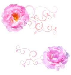 Watercolor Pink Roses With Florishes