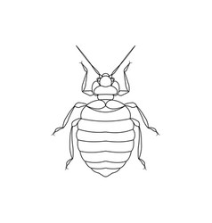 Black And White Bed Bug Clipart Coloring Page