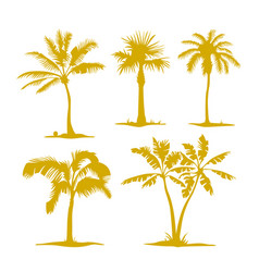 Set Of Palm Tree Silhouettes