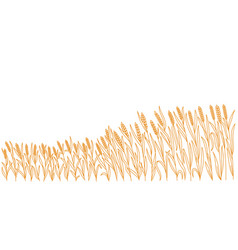 Cereal Field Horizontal Banner Spikelets