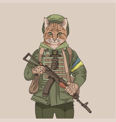 Ukrainian Serious Soldier Cat Wearing Body Armor