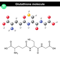 Glutathione Chemical Molecule