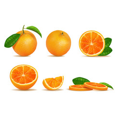 Orange Slices Fruit Citrus Half Cut And Whole