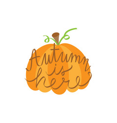 Autumn Is Here Pumpkin