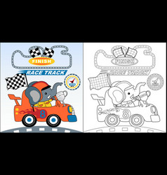 Cute Elephant Cartoon On Racing Car