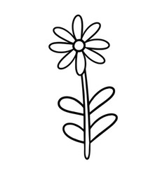 Monochrome Single Daisy Flower With Leaves