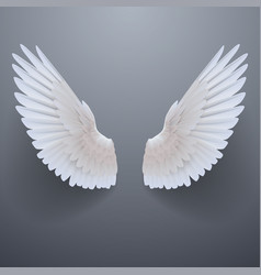 Realistic White Wings