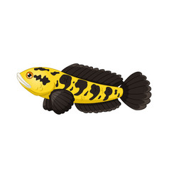 Cartoon Yellow And Black Fish Channa