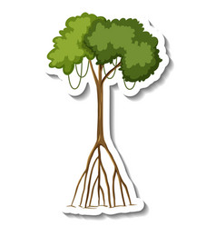 Sticker Mangrove Tree On White Background