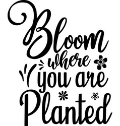 Bloom Where You Are Planted