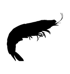 Shrimp Silhouette Art