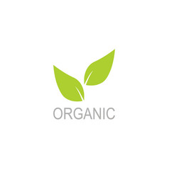 Bio Eco Organic Green Leaves Logo